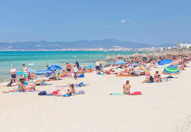 Villa in Arenal - Villa Ribera de Son Veri Villa in Arenal - Villa Ribera de Son Veri