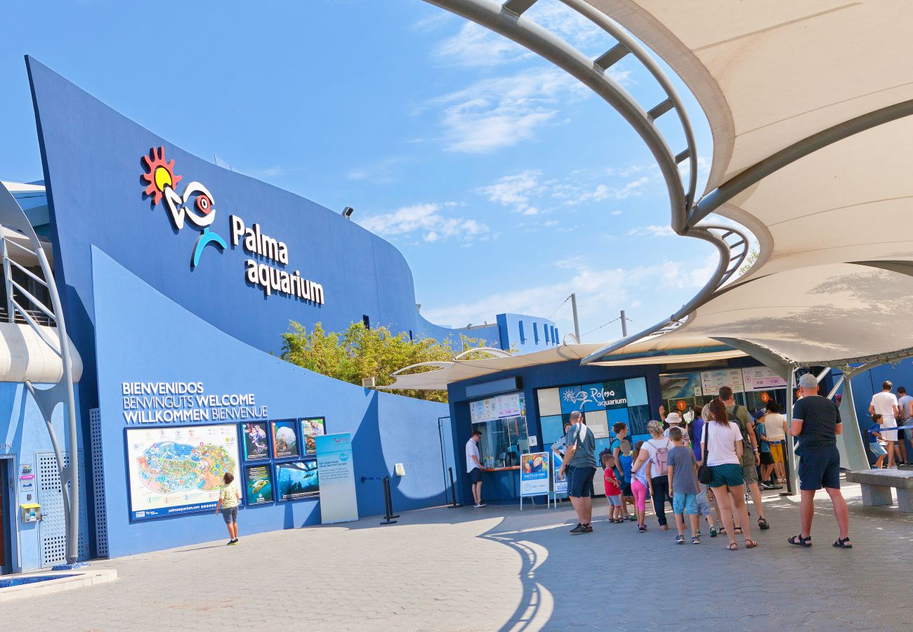 Villa in Arenal - Villa Ribera de Son Veri Villa in Arenal - Villa Ribera de Son Veri