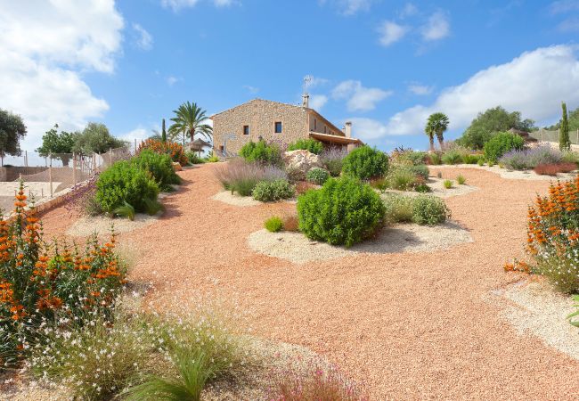 Villa in Manacor - Sa Murtera Villa in Manacor - Sa Murtera