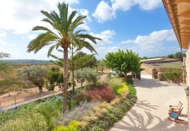 Villa in Manacor - Sa Murtera Villa in Manacor - Sa Murtera