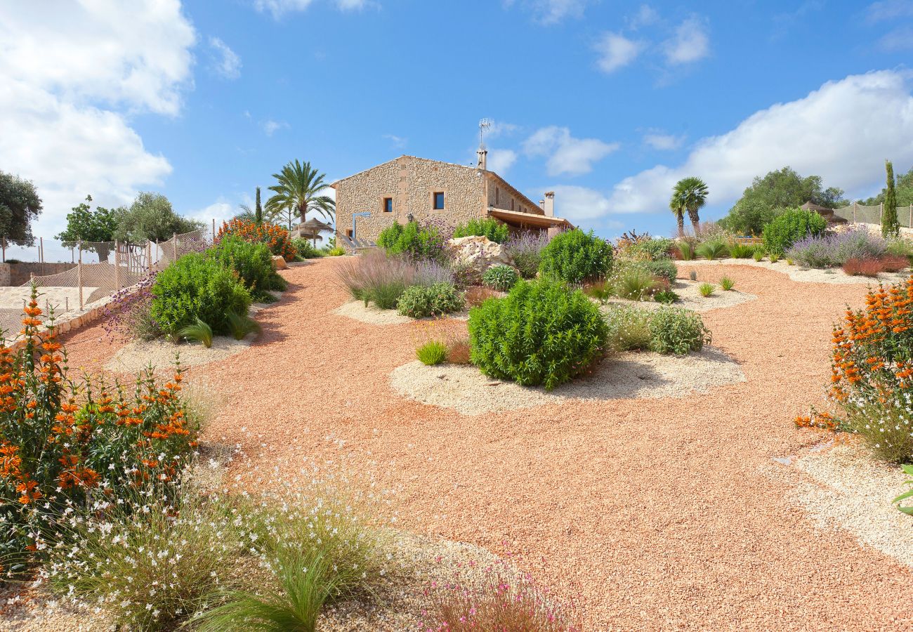 Villa in Manacor - Sa Murtera Villa in Manacor - Sa Murtera