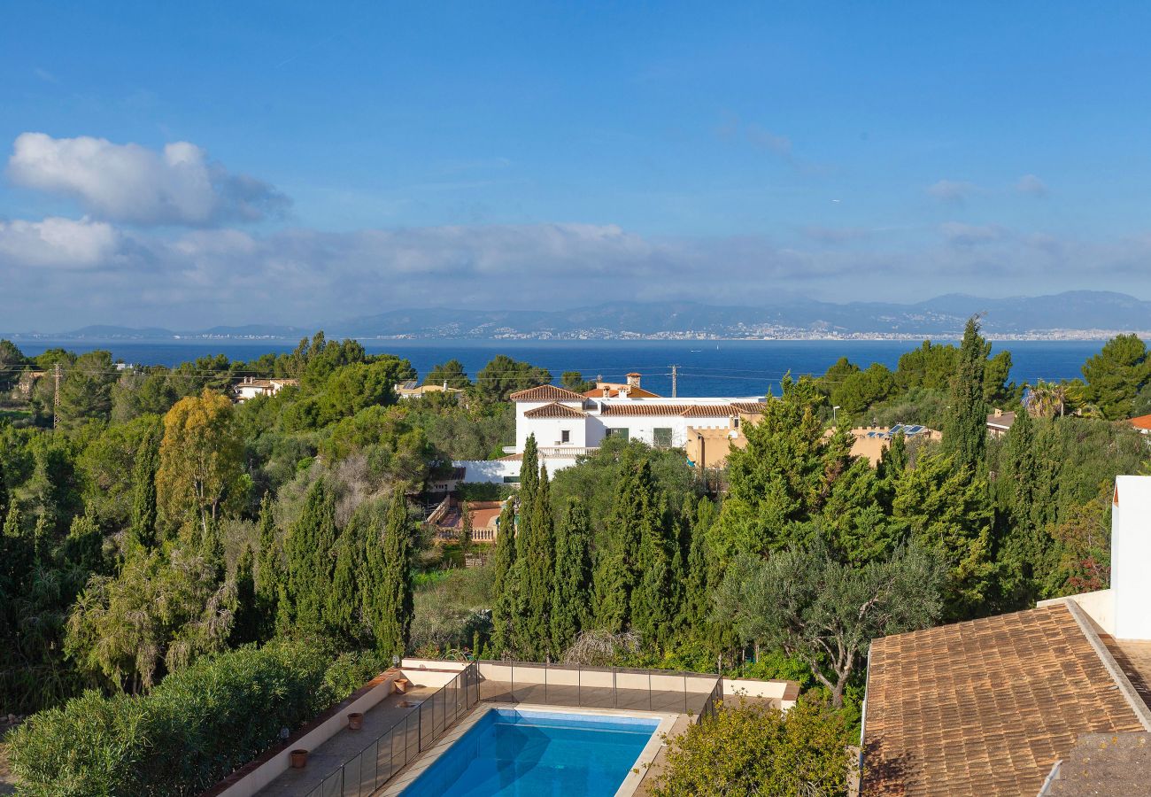 Villa in Cala Blava - Villa Lirica Villa in Cala Blava - Villa Lirica