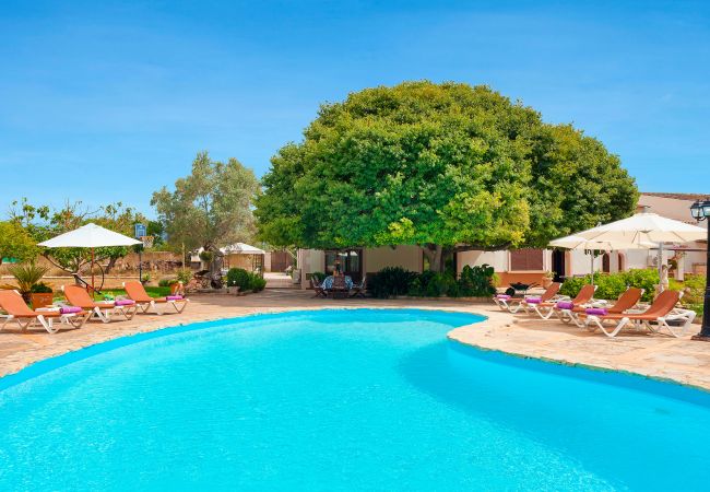 Palma de Mallorca - Finca