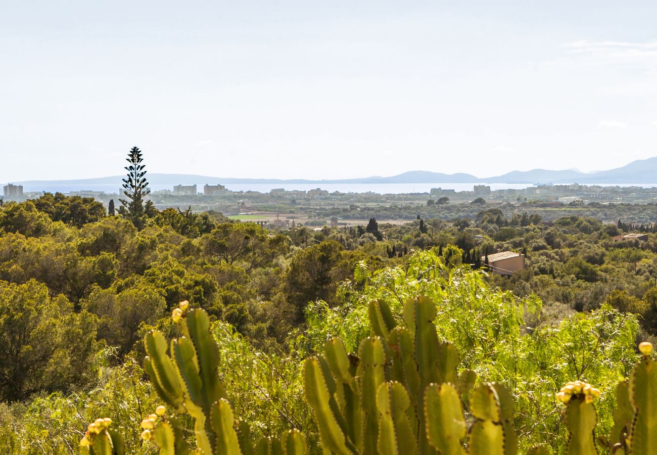 Villa in San Jordi - Rustica s'Aranjassa Villa in San Jordi - Rustica s'Aranjassa